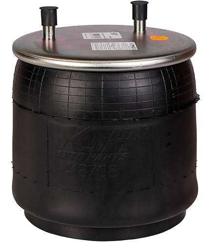 Amazon.com: AIR SPRING BAG - REPLACES GOODYEAR 1R14-039 FIRESTONE